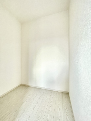 ̑@P`Walk-in Closet`@̗mĂVɂȂɂEH[NCN[[bgBmȊOɂAigȂƓdX[cP[XAXgbNiȂǉłЕtԂłB