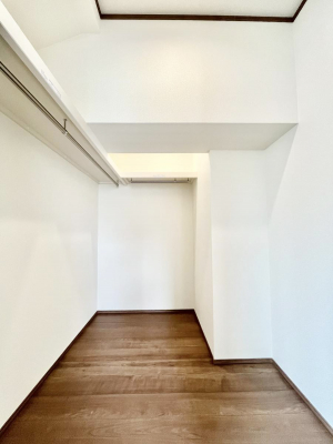 ̑@Q`Walk-in Closet`@̗mĂVɂȂɂEH[NCN[[bgBmȊOɂAigȂƓdX[cP[XAXgbNiȂǉłЕtԂłB
