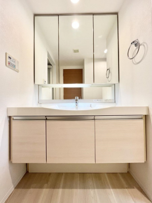 ʑEʏ@`Dressing Room`@\ȑ傫̐ʑ͎[鎖ȂAgȂ݃`FbN⎕ȂǁA̍QԂłzeCNȃXy[Xŗ]TƂƂĒ܂B