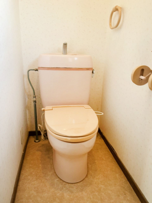 gC@`Toilet`@YEXbLEKȃgCł낰ԂłBgC͖g킴𓾂Ȃ́BۂłˁB