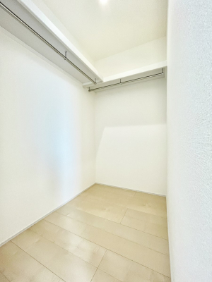 ̑@P`Walk-in Closet`@̗mĂVɂȂɂEH[NCN[[bgBmȊOɂAigȂƓdX[cP[XAXgbNiȂǉłЕtԂłB