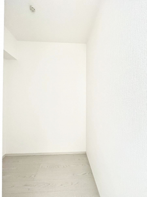 ̑@P`Walk-in Closet`@̗mĂVɂȂɂEH[NCN[[bgBmȊOɂAigȂƓdX[cP[XAXgbNiȂǉłЕtԂłB