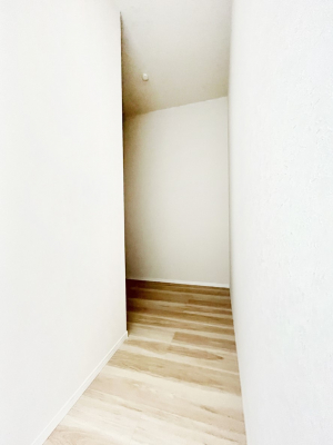 @P`Walk-in Closet`@̗mĂVɂȂɂEH[NCN[[bgBmȊOɂAigȂƓdX[cP[XAXgbNiȂǉłЕtԂłB