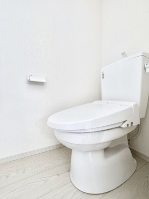 gC@`Toilet`@̂鐅gC̓EHVbgtłgC͖g킴𓾂Ȃ́BۂłˁBgC2̂Œ̍Gɕ֗łI