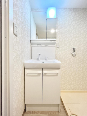 ʑEʏ@`Dressing Room`@FœꂳĂƁAXbLƐۂ܂B̗ɂ͂ՂƎ[Xy[XWÍAVv@\dāB