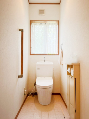 gC@`Toilet`@̂鐅gC̓EHVbgtłgC͖g킴𓾂Ȃ́BۂłˁB