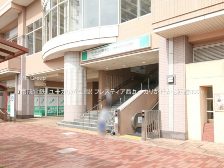 ӊ@w 800m dSu[Juvw