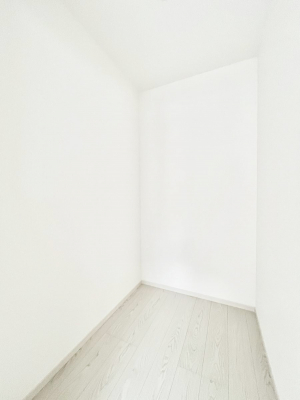 ̑@S`Walk-in Closet`@̗mĂVɂȂɂEH[NCN[[bgBmȊOɂAigȂƓdX[cP[XAXgbNiȂǉłЕtԂłB