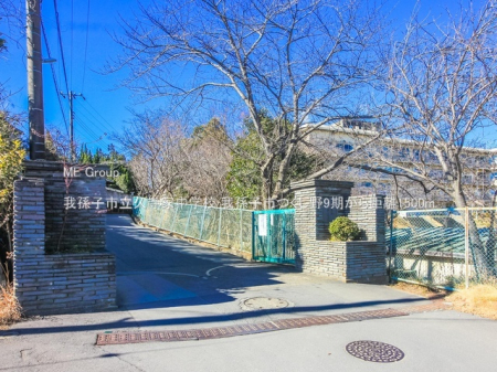 ӊ@wZ 1500m 䑷qsvƒwZ