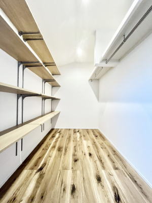 [@`Walk-in Closet`  ̗mĂVɂȂɂEH[NCN[[bgB  mȊOɂAi gȂƓdX[cP[XAXgbNiȂǉłЕtԂłB