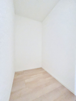 ̑@Q`Walk-in Closet`@̗mĂVɂȂɂEH[NCN[[bgBmȊOɂAigȂƓdX[cP[XAXgbNiȂǉłЕtԂłB