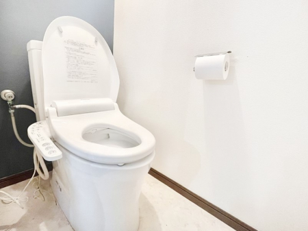 gC@`Toilet`  YEXbLEKȃEHVbgtgCł낰ԂłB  gC͖g킴𓾂Ȃ́BۂłˁB  