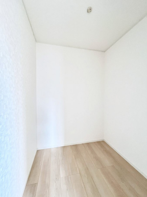 ̑@R`Walk-in Closet`@̗mĂVɂȂɂEH[NCN[[bgBmȊOɂAigȂƓdX[cP[XAXgbNiȂǉłЕtԂłB