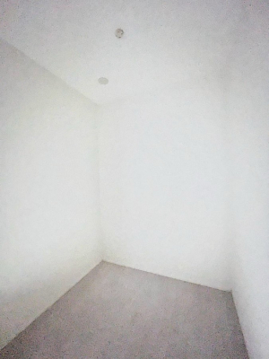 ̑ρ@֗ȃlɂŁAXbLg₷ʎ  