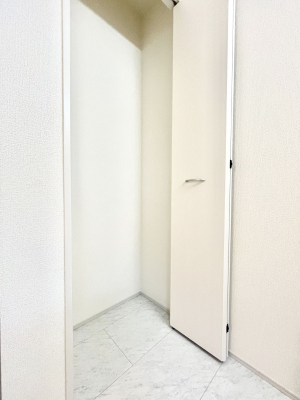 ̑ρ@֗ȃlɂŁAXbLg₷ʎ  