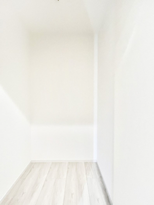 ̑@`Walk-in Closet`@KvȂ̂R[fBl[gꗗĊmFłAgxx⏀ZԂōςރEH[NCN[[bgݒu܂BƂ̒Ƃ֗Ȏ[Xy[XłB