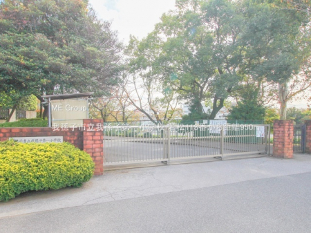 ӊ@wZ 950m 䑷qs䑷qꏬwZ