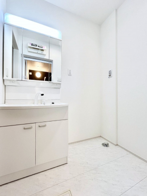 ���̑��@������A�������`Dressing Room�`����������F�����œ��ꂳ��Ă���ƁA�X�b�L���Ɛ�������ۂ������܂��B���̗��ɂ͂����Ղ�Ǝ��[�X�y�[�X��W�������I�����́A�V���v�����@�\�����d�����āB