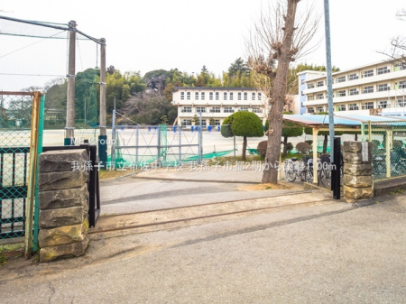 ӊ@wZ 1100m 䑷qszwZ