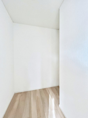 ̑@P`Walk-in Closet`@̗mĂVɂȂɂEH[NCN[[bgBmȊOɂAigȂƓdX[cP[XAXgbNiȂǉłЕtԂłB