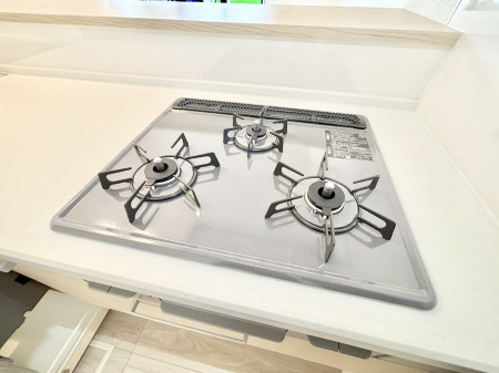 ���̑����ρ@�O���K�X�R�����ł���������C�ɂ͂��ǂ肻���B  