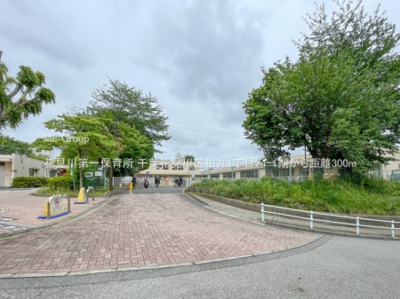 ӊ@ctEۈ牀 300m Ԍۈ珊