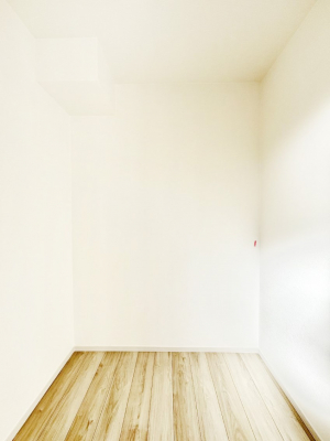 ���̑��@������2�������`Walk-in Closet�`�@��������̗m���������Ă��V���ɂȂ�ɂ����E�H�[�N�C���N���[�[�b�g�B�m���ȊO�ɂ��A���i�g��Ȃ��Ɠd��X�[�c�P�[�X�A�X�g�b�N�i�Ȃǉ��ł��Еt����������Ԃł��B