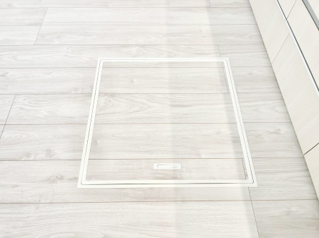 ���̑����ρ@�������[�t���I���p�i�E���p�i�̎��[�ɂ��劈��B