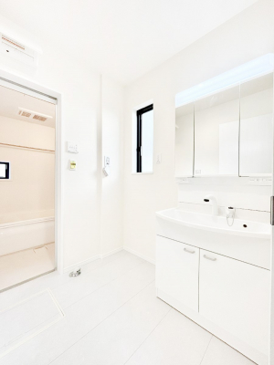 ���̑��@����������z���C�g�J���[����Ƃ������ʎ��B