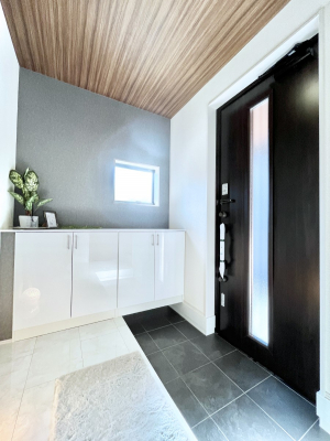 ց@I𗘗pāAzqlĂȂł܂B