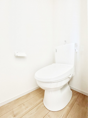 �g�C���@�g�C���͉������@�\�t��