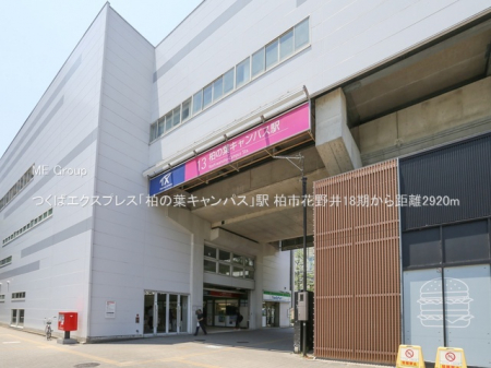 ӊ@w 2920m ΃GNXvXu̗tLpXvw