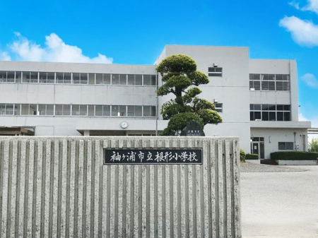 ӊ@wZ 2500m PYs `wZ