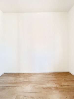 ̑@P`Walk-in Closet`@̗mĂVɂȂɂEH[NCN[[bgBmȊOɂAigȂƓdX[cP[XAXgbNiȂǉłЕtԂłB