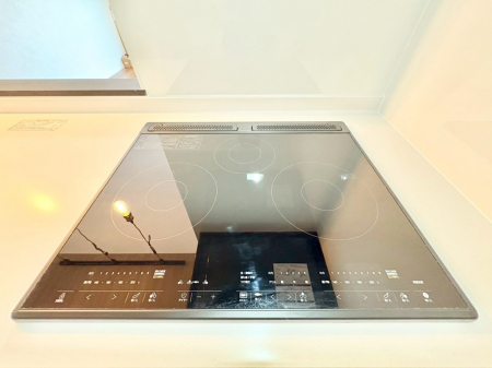 ̑ρ@ꂪƂĂyȃLb`͋SnႢ܂