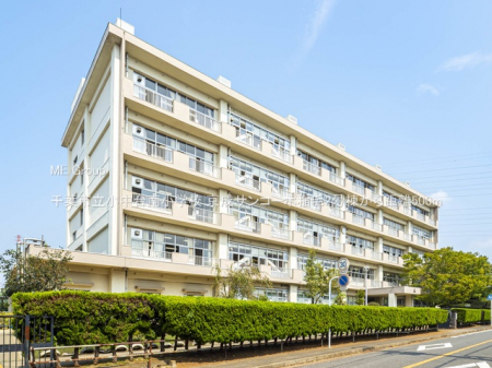 ӊ@wZ 500m ts쏬wZ