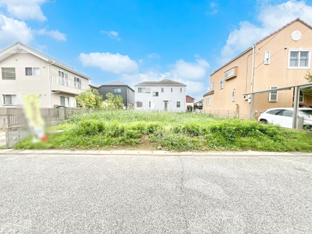 nOώʐ^@Ƃ肪Ί𐶂ސSn悢   