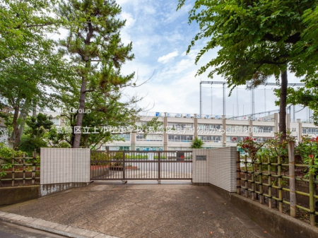 ӊ@wZ 800m 旧㏬wZ