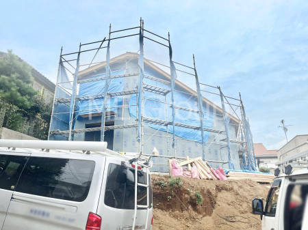 nOώʐ^@Ƃ肪Ί𐶂ސSn悢   