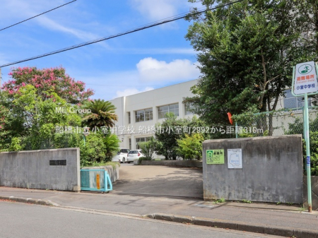 ���ӊ��@���w�Z 310m �D���s���������w�Z