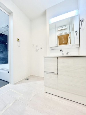 ���̑��@�����`Dressing Room�`����������F�����œ��ꂳ��Ă���ƁA�X�b�L���Ɛ�������ۂ������܂��B  ���̗��ɂ͂����Ղ�Ǝ��[�X�y�[�X��W�������I  �����́A�V���v�����@�\�����d�����āB