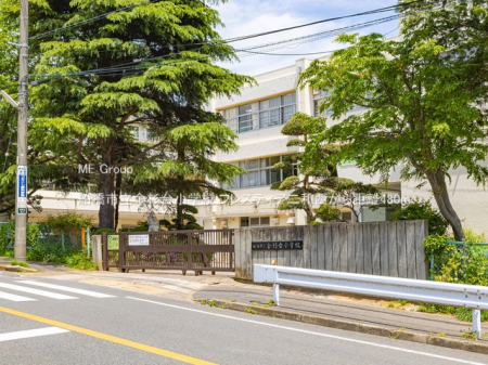 ӊ@wZ 480m Ds䏬wZ