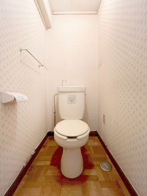 gC@`Toilet`@̂gCB̂鐅gC͖g킴𓾂Ȃ́BۂłˁB