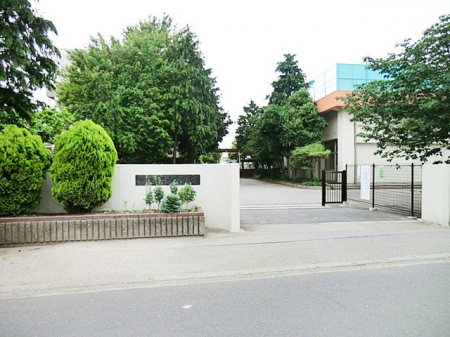 ӊ@wZ 1100m DsORwZ