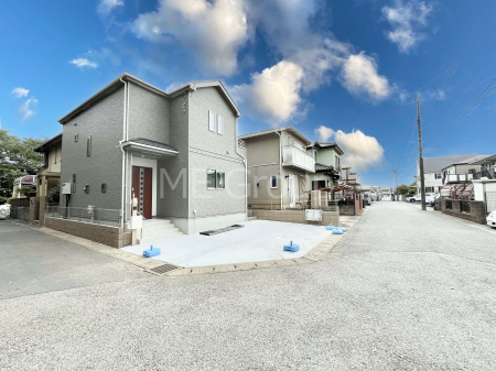 nOώʐ^@pnȂ̂œǂAƂXƂČ܂B