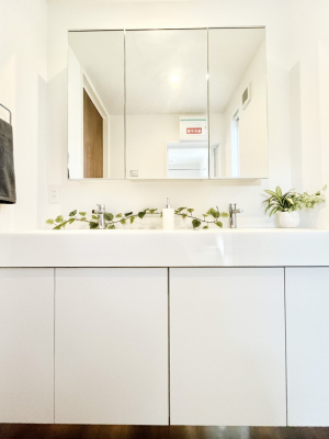 ʑEʏ@[͂Ƌ@\ɗDꂽʉϑ