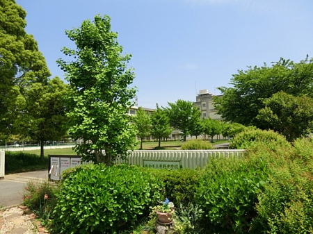 ӊ@wZ 1587m qs쒆wZ