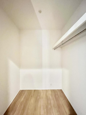 [@`Walk-in Closet`@̗mĂVɂȂɂEH[NCN[[bgBmȊOɂAigȂƓdX[cP[XAXgbNiȂǉłЕtԂłB