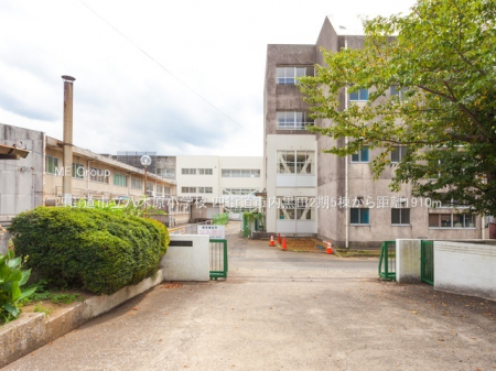 ӊ@wZ 1910m lXs،wZ