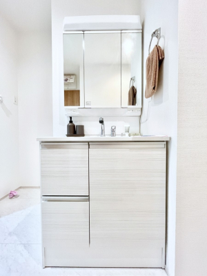 ʑEʏ@傫₷OʋŐʑ́AgȂ݃`FbN┧̂ɂ߂łB 